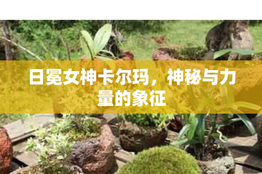 神秘与力量的象征图片