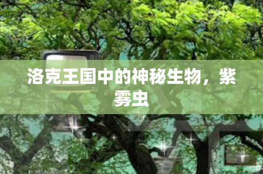 洛克王国中的神秘生物图片