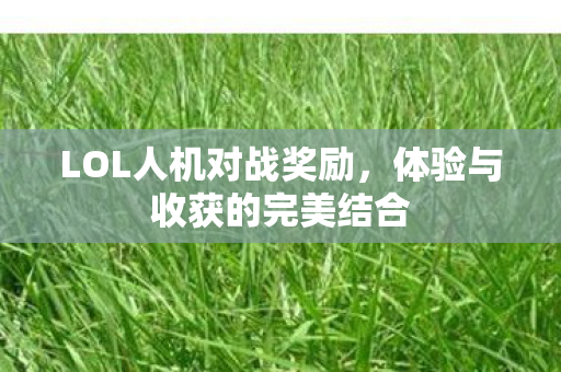 体验与收获的完美结合图片