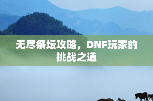DNF玩家的挑战之道图片