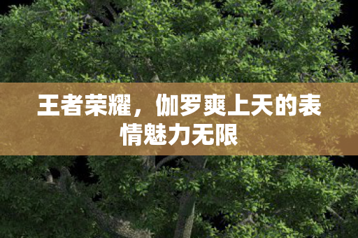 伽罗爽上天的表情魅力无限图片