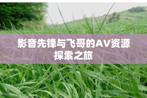 影音先锋与飞哥的AV资源探索之旅图片