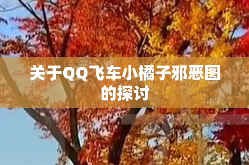 关于QQ飞车小橘子邪恶图的探讨图片