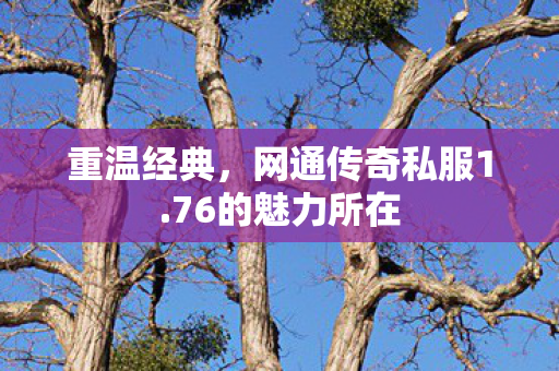 网通传奇私服1图片
