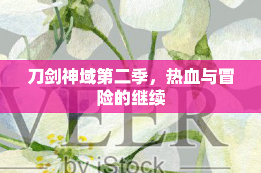 热血与冒险的继续图片
