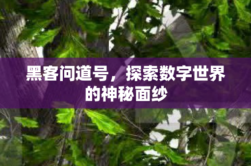 探索数字世界的神秘面纱图片