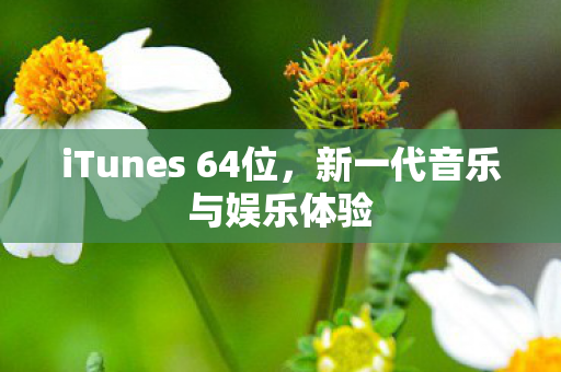 iTunes 64位图片