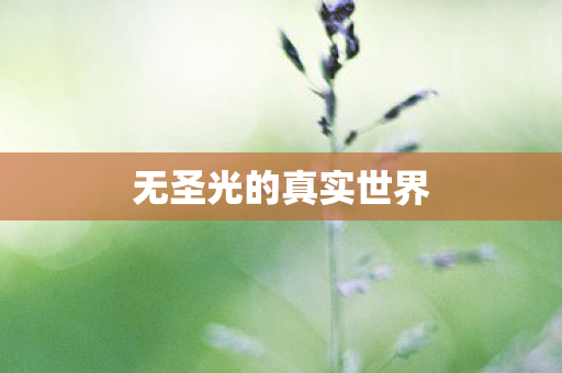 无圣光的真实世界图片