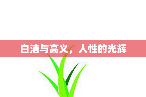 白洁与高义图片