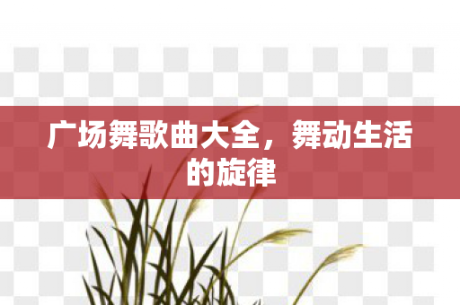 广场舞歌曲大全图片