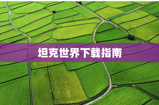 坦克世界下载指南图片