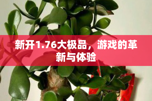 游戏的革新与体验图片
