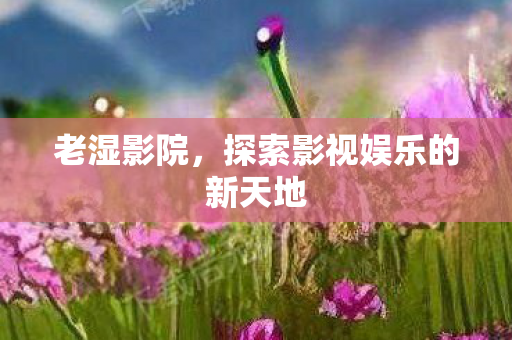 探索影视娱乐的新天地图片