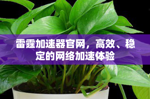 稳定的网络加速体验图片