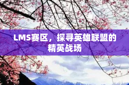 探寻英雄联盟的精英战场图片