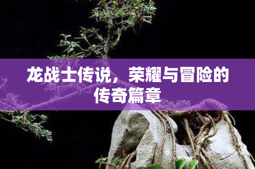 荣耀与冒险的传奇篇章图片