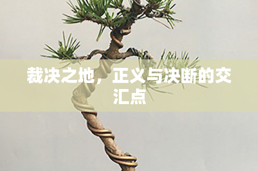 正义与决断的交汇点图片