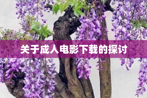 关于成人电影下载的探讨图片