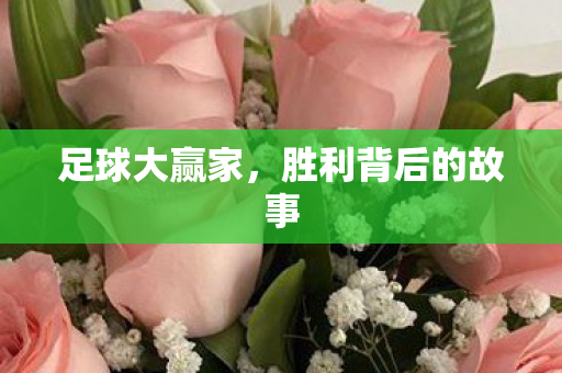 胜利背后的故事图片