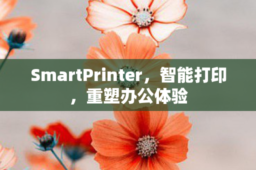 SmartPrinter图片