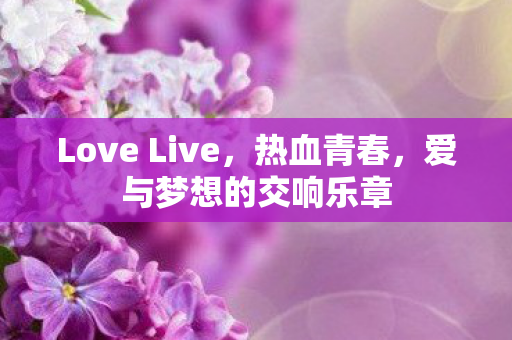 Love Live图片