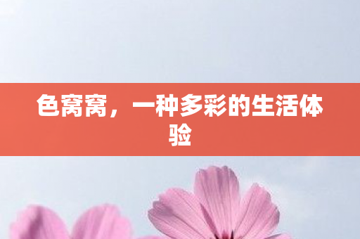 一种多彩的生活体验图片