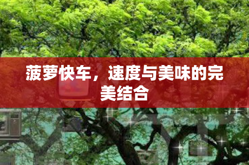 速度与美味的完美结合图片