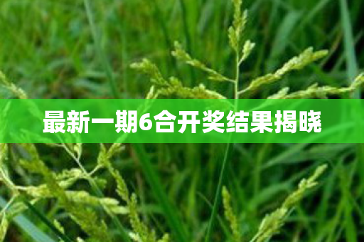 最新一期6合开奖结果揭晓图片