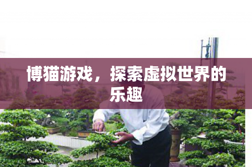 探索虚拟世界的乐趣图片