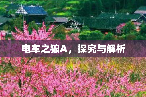 电车之狼A图片