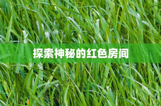 探索神秘的红色房间图片