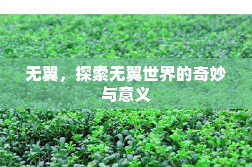 探索无翼世界的奇妙与意义图片