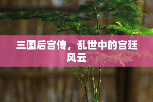 乱世中的宫廷风云图片