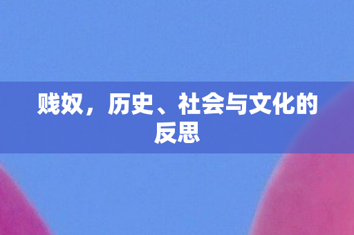 社会与文化的反思图片