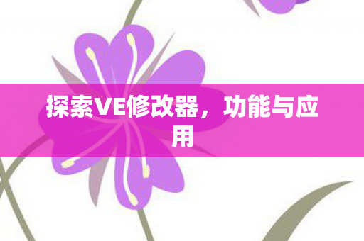 探索VE修改器图片