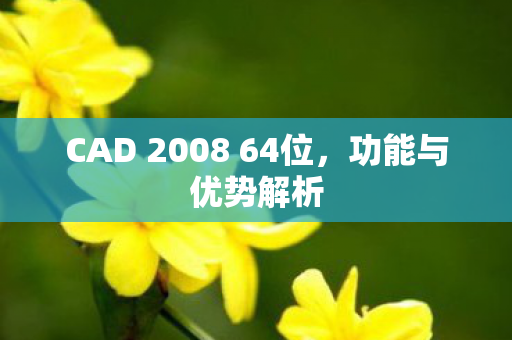CAD 2008 64位图片