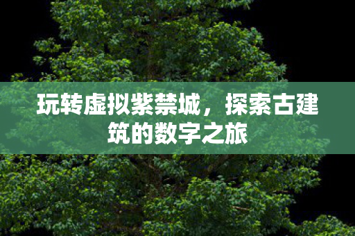 探索古建筑的数字之旅图片