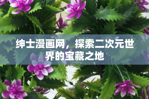 探索二次元世界的宝藏之地图片