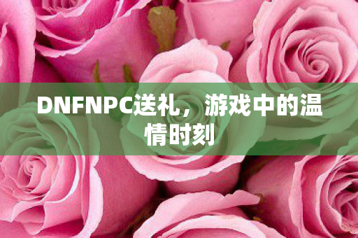 DNFNPC送礼图片