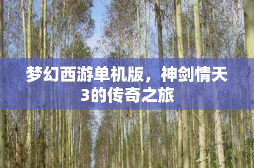 神剑情天3的传奇之旅图片