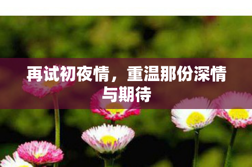 重温那份深情与期待图片