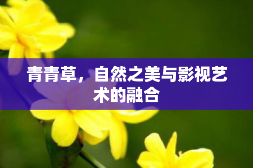 自然之美与影视艺术的融合图片
