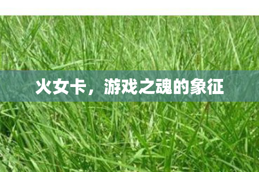 游戏之魂的象征图片