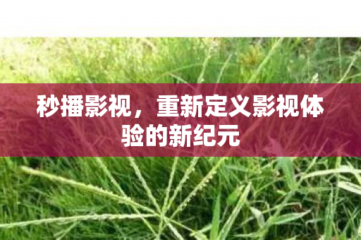 重新定义影视体验的新纪元图片