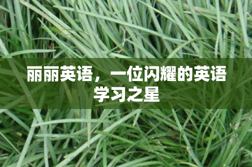 一位闪耀的英语学习之星图片