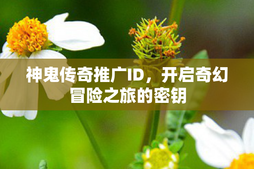 开启奇幻冒险之旅的密钥图片
