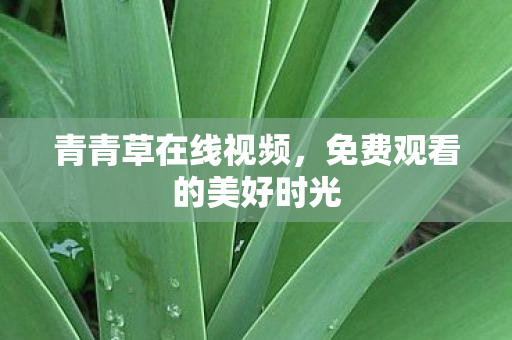 免费观看的美好时光图片