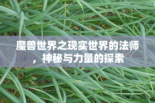 魔兽世界之现实世界的法师图片