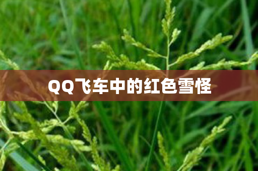 QQ飞车中的红色雪怪图片