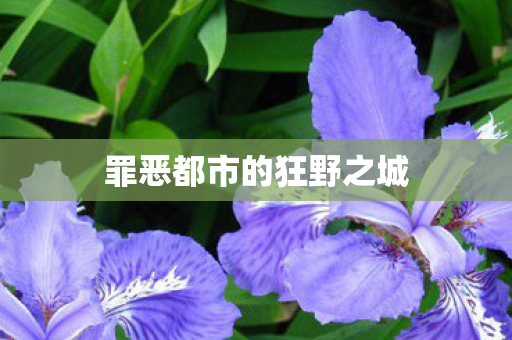 罪恶都市的狂野之城图片